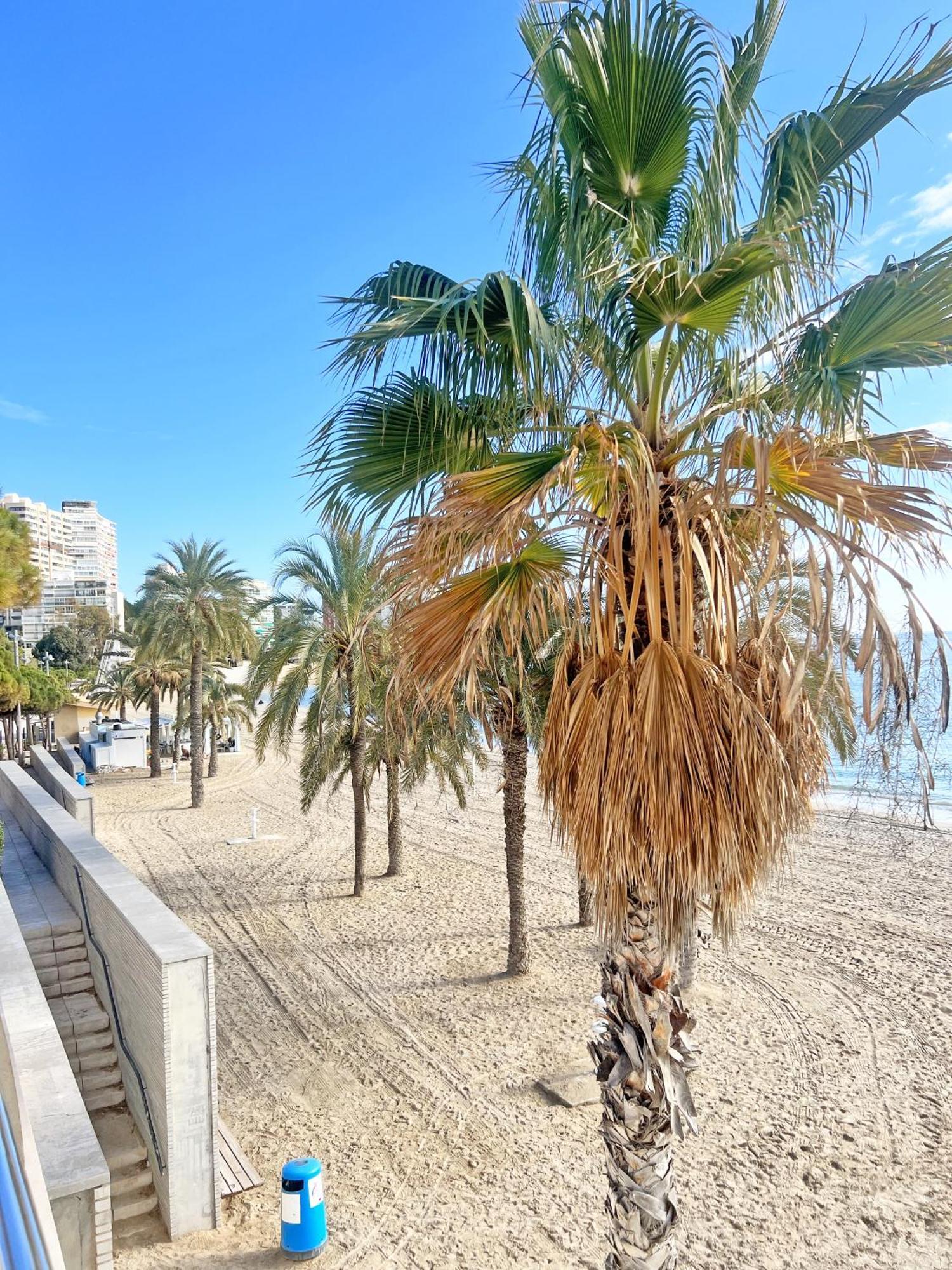 A 100M De La Playa. 2 Hab. A/C Apartment Alicante Exterior photo